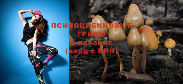 соль ск Арсеньев